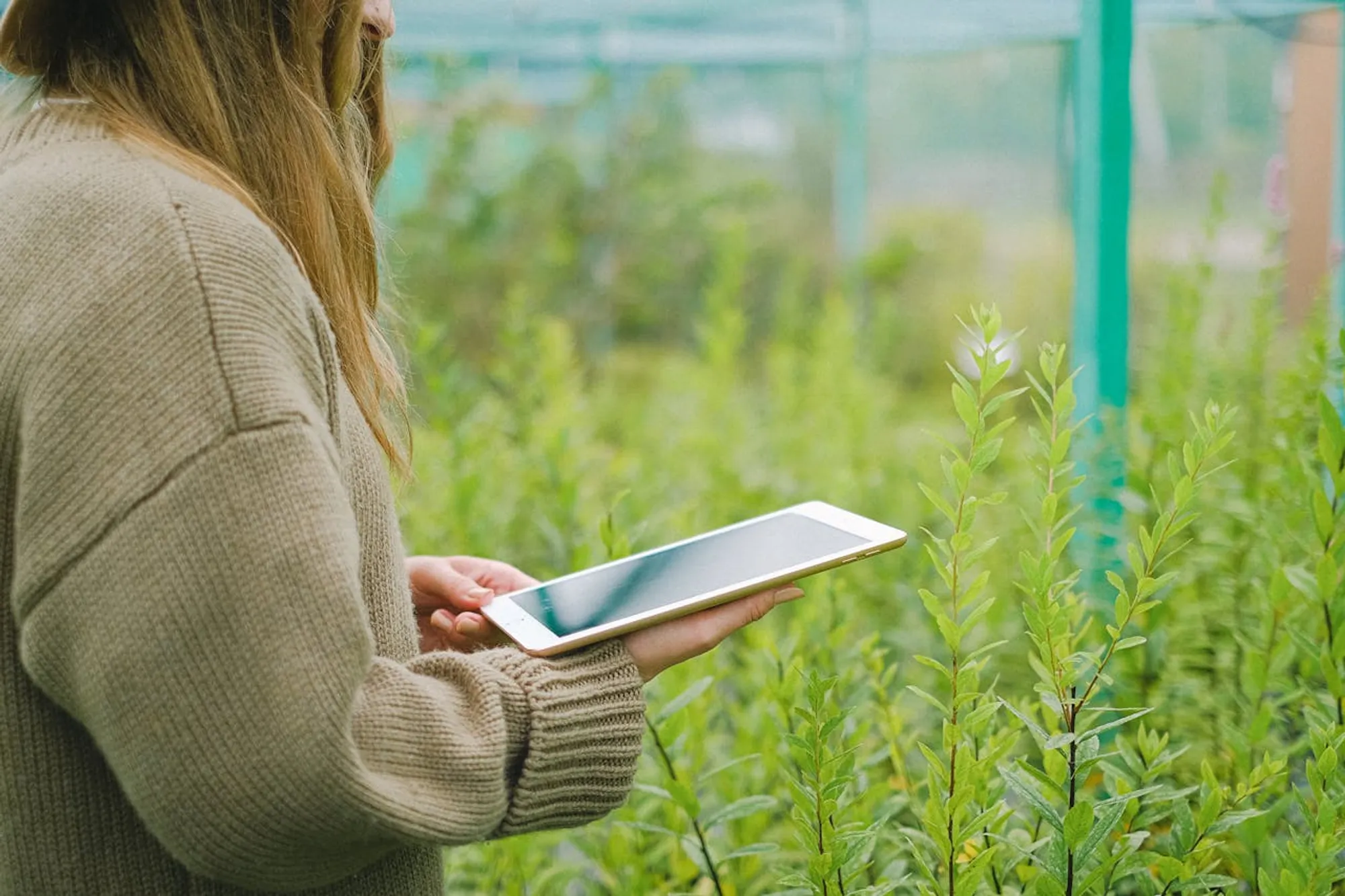 Cover for Nos preparamos para diseñar nuestra estrategia de sostenibilidad